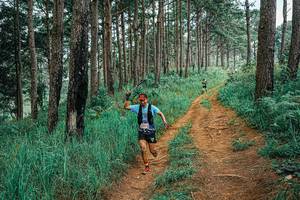 BIB: 
                            <button type="button" onclick="openModal(25660496)" class="btn btn-primary btn-sm float-right btn-popup" data-toggle="modal" data-target=".modal-high-quality">
                        <i class="fas fa-shopping-cart"></i> Add to Cart
                    </button>
                                            <button type="button" onclick="isThisMe(25660496, true)" class="btn btn-success btn-sm float-right btn-popup btn-isme hidden" data-toggle="tooltip" data-placement="bottom" title="นี่คือรูปของคุณใช่ไหม คลิกที่นี่เพื่อเอาเข้าอัลบั้ม">
                        <i class="fas fa-plus"></i> Add to album
                    </button>
                    <button type="button" onclick="isThisMe(25660496, false)" class="btn btn-warning btn-sm float-right btn-popup btn-isnotme hidden">
                        <i class="fas fa-ban"></i> Remove from album
                    </button>